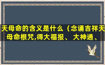 天母命的含义是什么（念诵吉祥天母命根咒,得大福报、 大神通、大勇力）